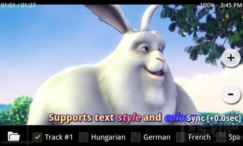 Skyplayer 解码器,Skyplayer 解码器下载,Skyplayer 解码器官方下载